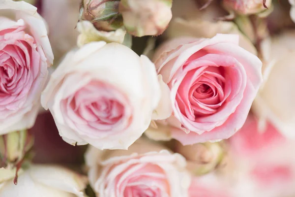 Rosas cor de rosa. Detalhe do buquê de casamento — Fotografia de Stock