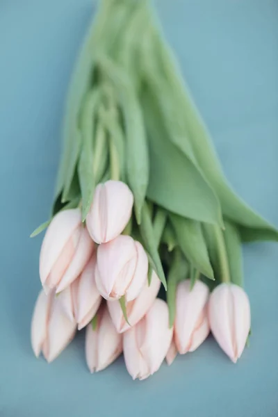 Букет зі свіжих рожевих тюльпанів — стокове фото