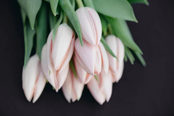 빈티지 꽃 장식, 신선한 분홍색 튤립 꽃 꽃다발 — 스톡 사진