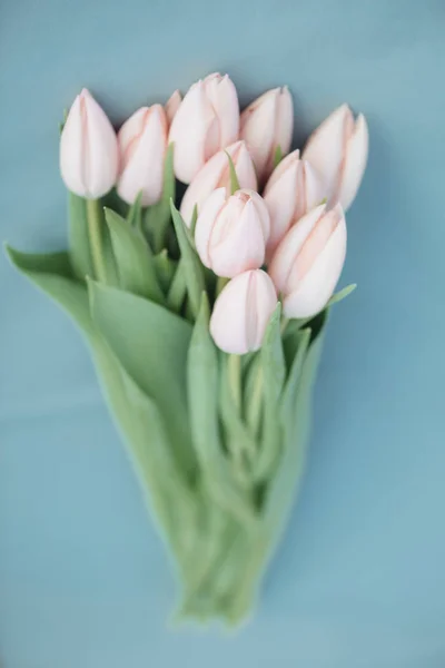 Svěží růžová Tulipán květy kytice — Stock fotografie