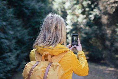 Cep telefonu kullaranarak fotoğraf çekmek. Mobil fotoğraf. Turist alarak resim orman