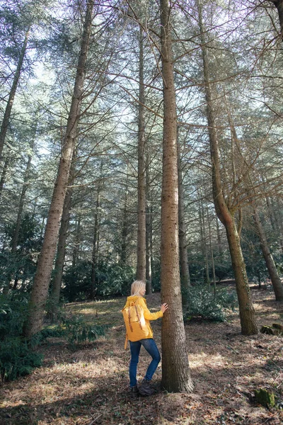 Mujer hipster con estilo con mochila mirando bosques y montañas increíbles en verano, concepto de viaje, espacio para el texto —  Fotos de Stock