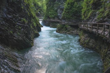 Ahşap tahta ile ünlü Vintgar vadiye Kanyon. Bled, Triglav, Slovenya, Europe