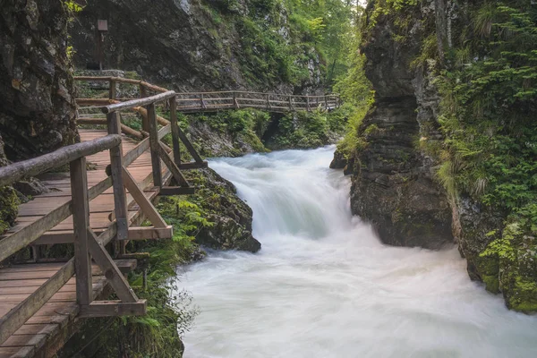 The famous Vintgar gorge Canyon with wooden boardwalk. Bled,Triglav,Slovenia,Europe — Stock Photo, Image