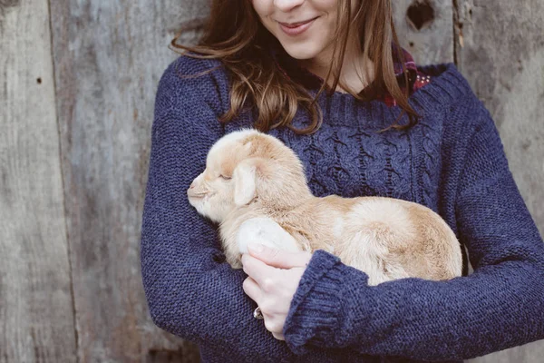 Cute baby goat in young adult woman hands — Stock Photo, Image