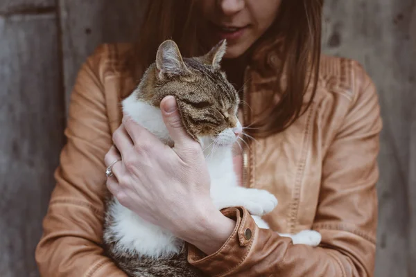 Katt liggande i kvinna händer — Stockfoto