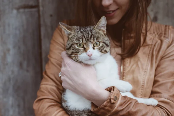 Ворчливый кот в руке — стоковое фото