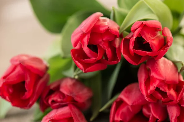 Red tulip flowers on rustic wooden background — Stock Photo, Image