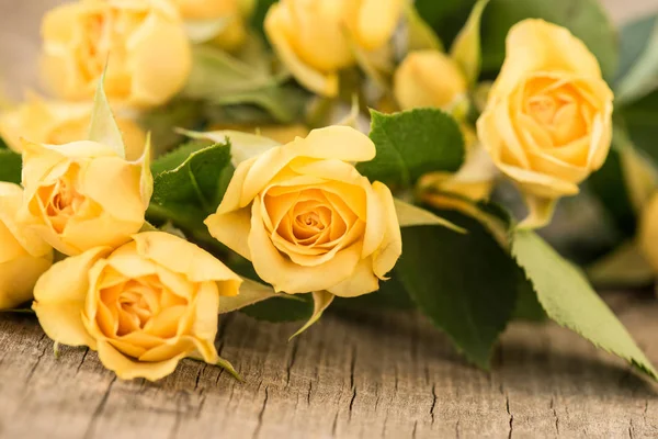 Rosas amarelas em vintage, fundo de madeira rústico — Fotografia de Stock