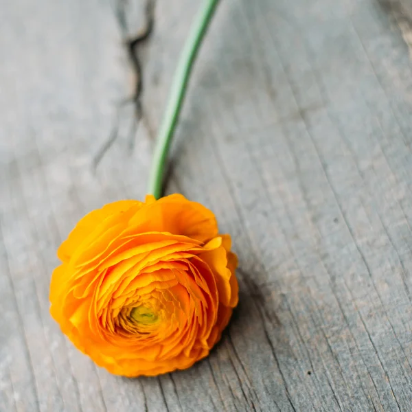ビンテージ木製基板のオレンジ花します。 — ストック写真