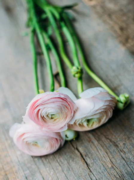 Roze bloemen op rustieke houten bord — Stockfoto