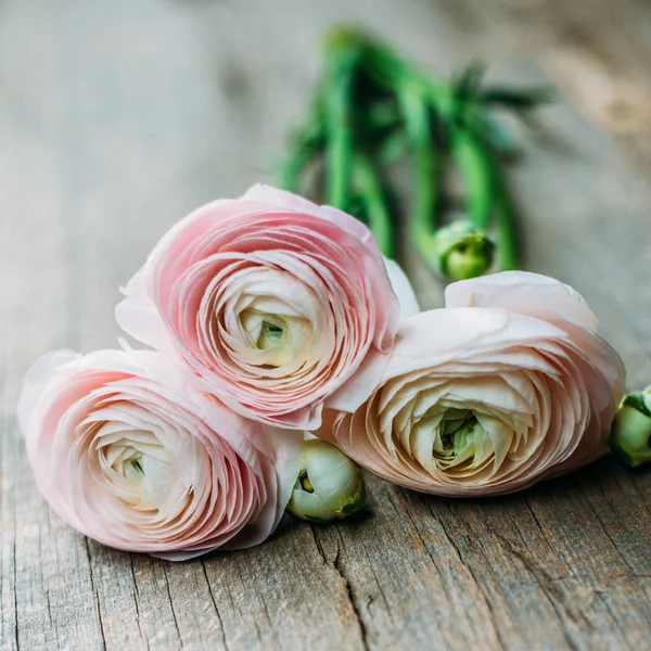 Roze bloemen op rustieke houten bord — Stockfoto