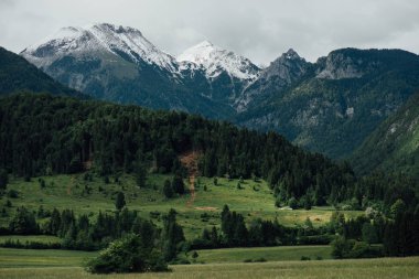 Güzel doğa. Doğal peyzaj.