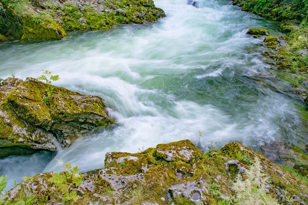 Tekoucí řeky, soutěska Vintgar, Slovinsko — Stock fotografie