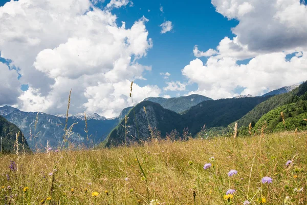 Mountain landscape, simmer scenery — Stock Photo, Image