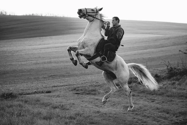 男子骑手与马跳 — 图库照片