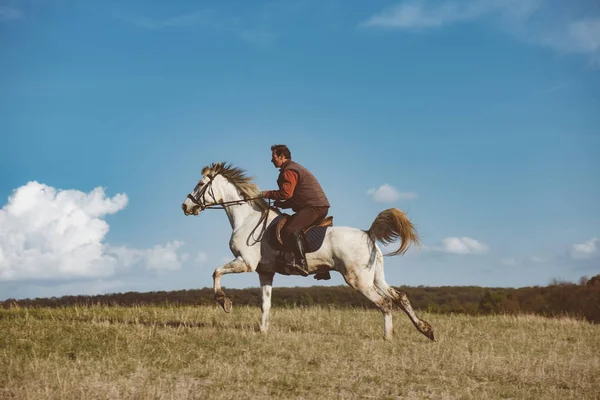 Cavallo galoppante, uomo a cavallo con il suo cavallo bianco — Foto Stock