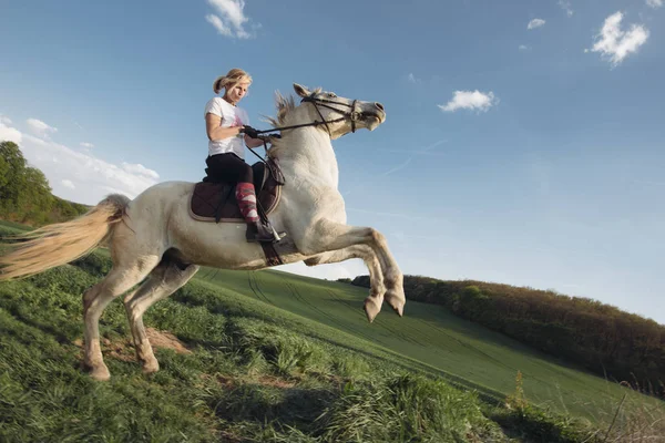 Femeie pe cal. Jumping cal de curse pe teren . — Fotografie, imagine de stoc