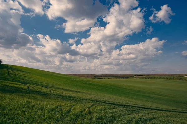 Magnificent landscape, blue sky — Stock Photo, Image