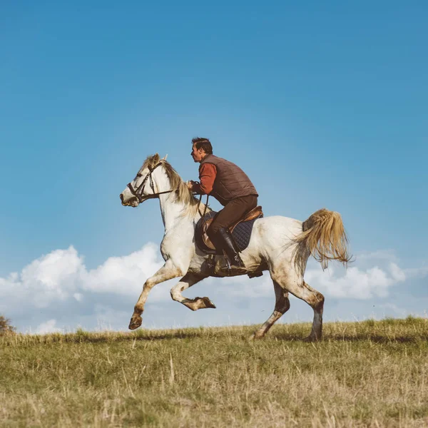 Häst sport, cowboy ridning på häst — Stockfoto