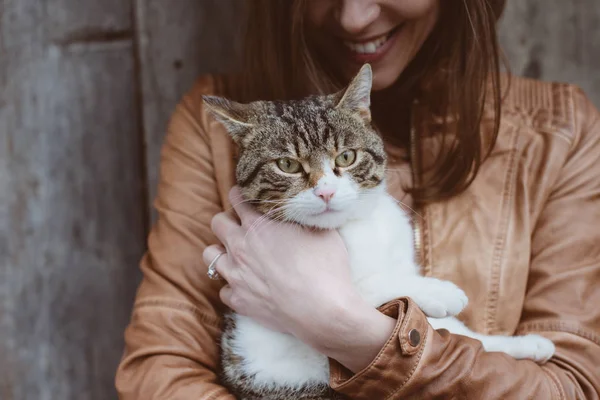 猫と女屋外 — ストック写真