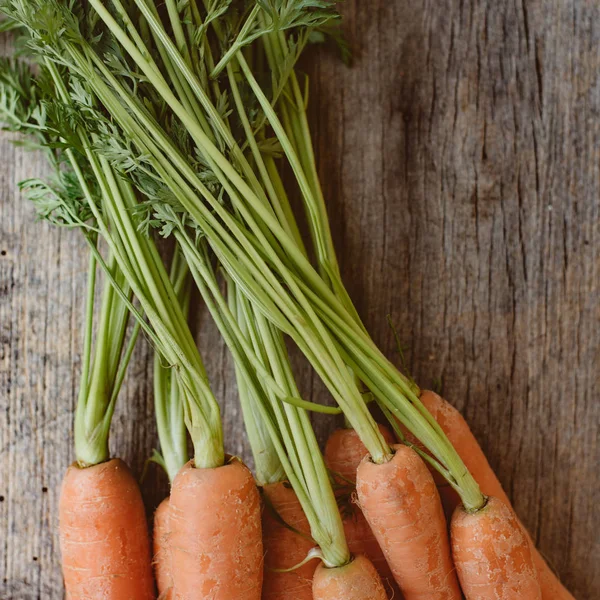 Verse rauwe wortel op markt — Stockfoto