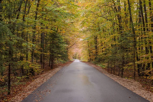 Landsvägen genom hösten skogen — Stockfoto