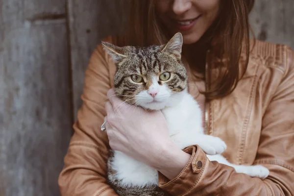 Симпатичный портрет кошки с владельцем — стоковое фото