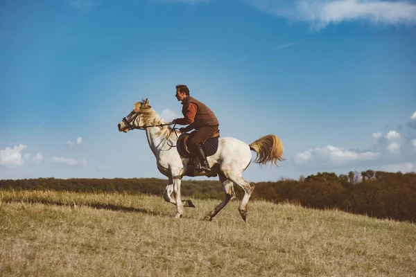 Hombre galopando en caballo blanco — Foto de Stock