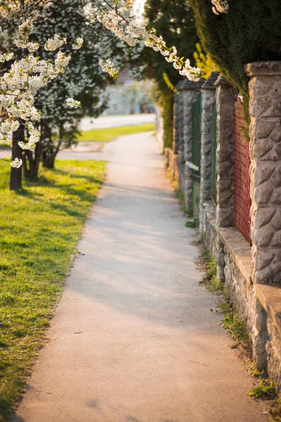 Mooi wandelpad, zonsondergang over straat — Stockfoto