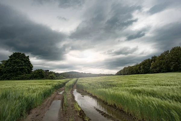 Estrada rural e reflexão sobre a poça. Nuvens tempestuosas dramáticas e campo agrícola verde . — Fotografia de Stock