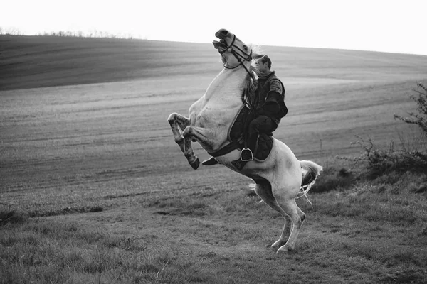 骑白马的人 — 图库照片