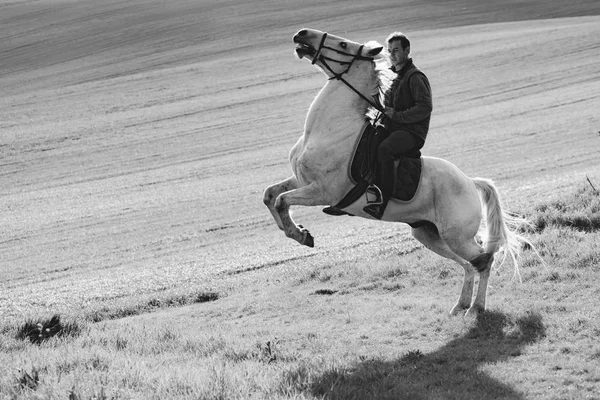 Homem em cavalo branco — Fotografia de Stock