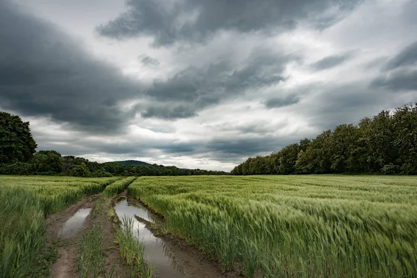 Paisaje, camino de tierra con charco — Foto de Stock