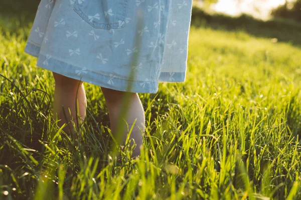 Bebé pies en hierba —  Fotos de Stock