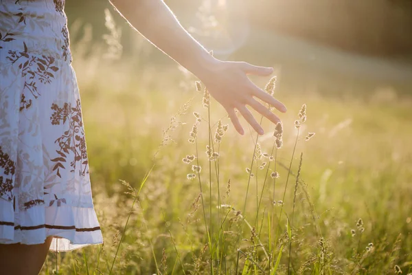 Vrouwelijke hand aanraken zomer veld — Stockfoto