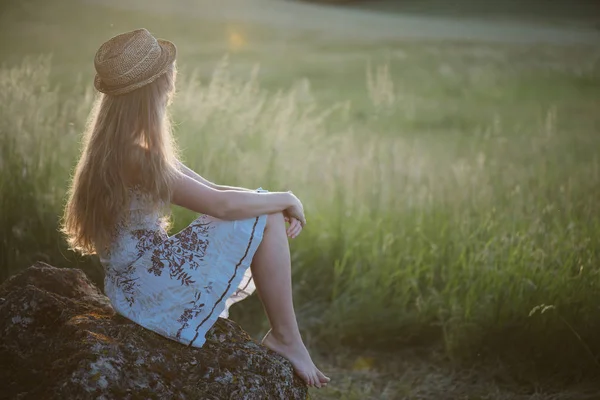 Summer evening on beautiful field — Stock Photo, Image