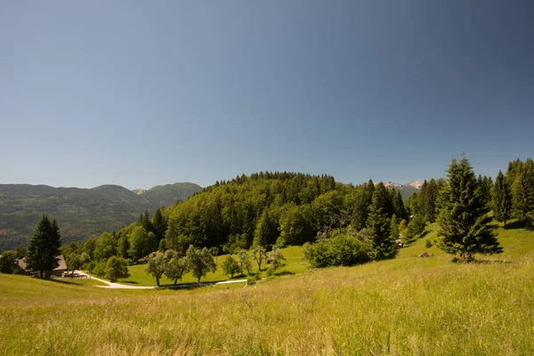 Julian Alps, Slovenya, güzel dağ manzarası — Stok fotoğraf