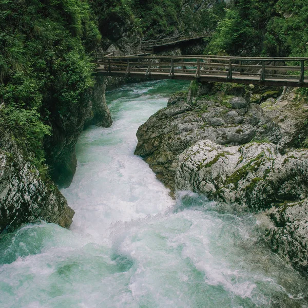 Гірський ліс дика річка — стокове фото