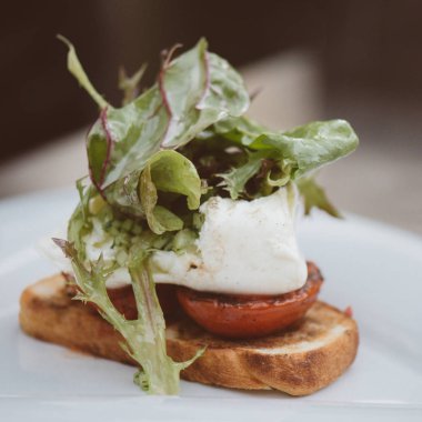 Izgara domates ve yeşil salata ile taze mozzarella peyniri