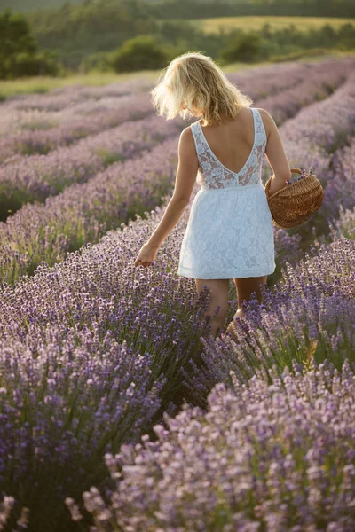 Jeune mariée en robe blanche rêvant dans un champ de lavande avec panier — Photo