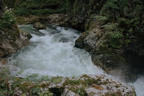 Güzel doğa. Vintgar gorge, Slovenya — Stok fotoğraf