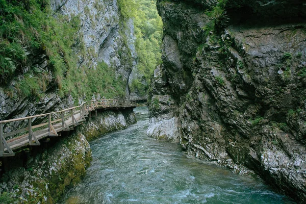ธรรมชาติที่สวยงาม หุบเขา Vintgar, สโลเวเนีย — ภาพถ่ายสต็อก