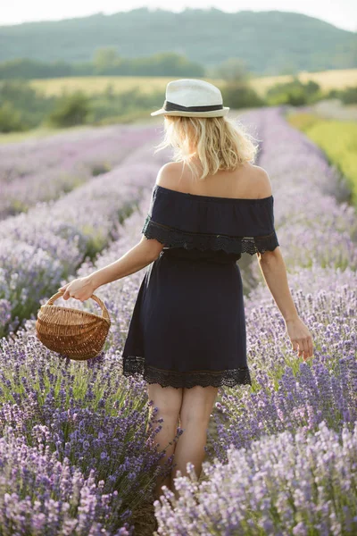 Jovem jardinagem no jardim de lavanda — Fotografia de Stock