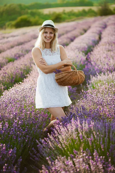 Krásná žena, sklizeň levandule — Stock fotografie