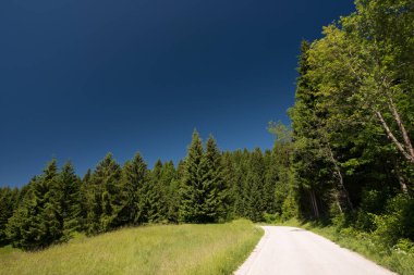 Mavi gökyüzü olan manzara 
