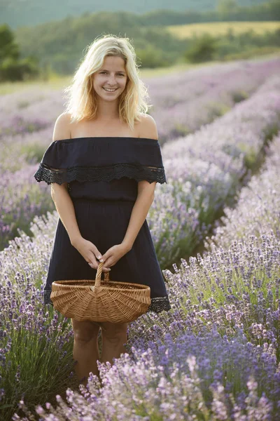 Mujer con cesta cosechando lavanda —  Fotos de Stock