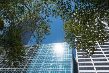 Şehir merkezinde, ofis binaları