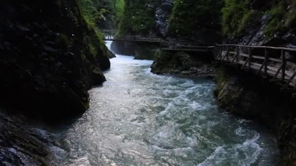 Flowing river at Vintgar Gorge, Slovenia — Stock Video