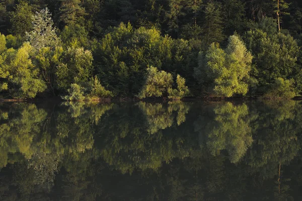 Лесное озеро с отражением — стоковое фото